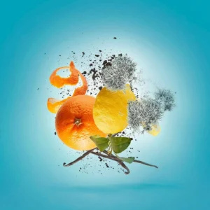 Erba Pura Eau de Parfum, 100 ml - Image 4